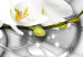 Canvas Curly Orchids - White Flowers on Gray Background with Shiny Squares 98199 additionalThumb 5